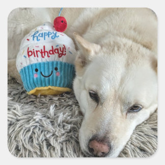 ハッピーバースデー.. スクエアシール