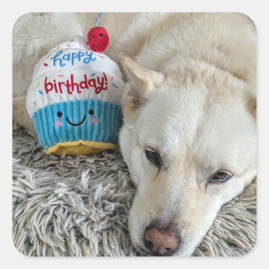 ハッピーバースデー.. スクエアシール (正面)