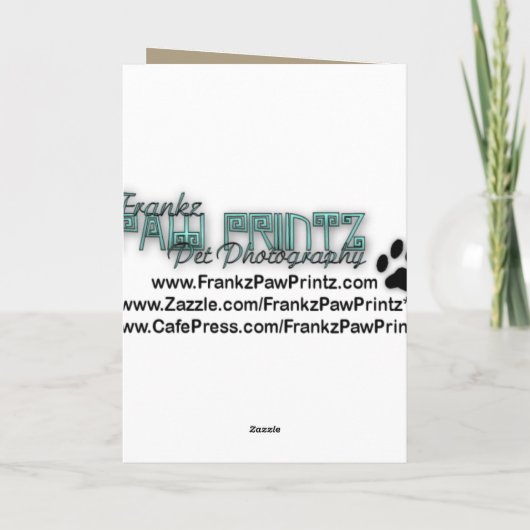 ハッピーバースデー – ストーンポーズウエストハイランドテリア カード (裏面)