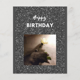 ハッピーバースデー。タキシード猫とバラ。