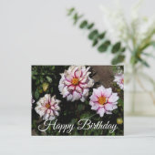 ハッピーバースデー ダリア エッジ オブ ジョイ #1 ポストカード (スタンド正面)