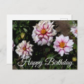 ハッピーバースデー ダリア エッジ オブ ジョイ #1 ポストカード (正面/裏面)