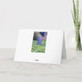 ハッピーバースデー、テキサス州ブルーボンネットフィールド カード (裏面)