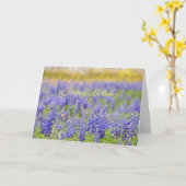 ハッピーバースデー、テキサス州ブルーボンネットフィールド カード (黄色い花)