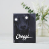 ハッピーバースデー – トリックキャンドル – ダックシュント ポストカード (スタンド正面)