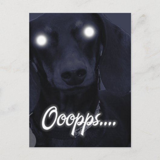 ハッピーバースデー – トリックキャンドル – ダックシュント ポストカード (正面)