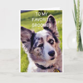 ハッピーバースデー**ドお気に入りのッグトリマー** カード (正面)