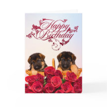 ハッピーバースデー：ドイツの羊飼い犬