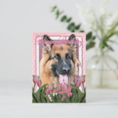 ハッピーバースデー – ドイツの羊飼い – 長髪 ポストカード (スタンド正面)