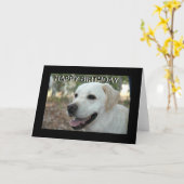 ハッピーバースデー、ハッピーバースデー カード (黄色い花)