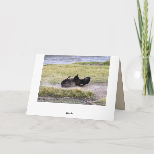 ハッピーバースデー、バイソンのBullの挨りだらけのユーモア カード (裏面)