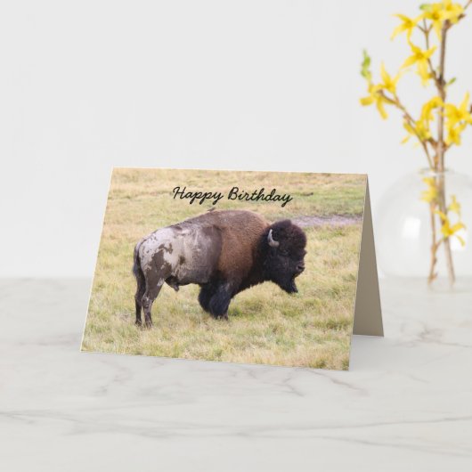 ハッピーバースデー、バイソンのBullの挨りだらけのユーモア カード (黄色い花)