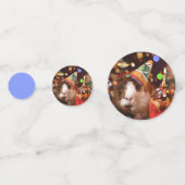 ハッピーバースデー-パーティー動物モルモット コンフェッティ (正面)