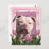 ハッピーバースデー-ピットブル – ジャージーガール ポストカード (正面/裏面)