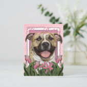 ハッピーバースデー-ピットブル – ティガー ポストカード (スタンド正面)