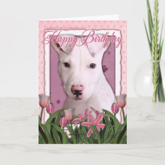 ハッピーバースデー-ピットブル – ペテイ カード (正面)