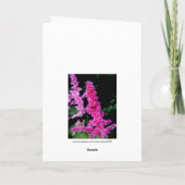 ハッピーバースデー – ピンクの花 カード (裏面)