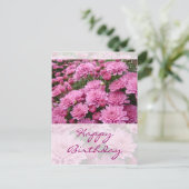ハッピーバースデー – ピンクの菊の海#2 ポストカード (スタンド正面)