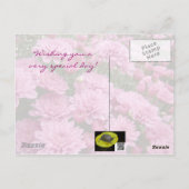 ハッピーバースデー – ピンクの菊の海#2 ポストカード (裏面)