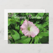 ハッピーバースデー ピンクペチュニア フォトグラフィー ポストカード (正面/裏面)