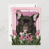 ハッピーバースデー-フランスのブルドッグ – ティール（緑がかった色） ポストカード (正面/裏面)