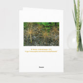 「ハッピーバースデー/フローラ/PHOG カード (裏面)