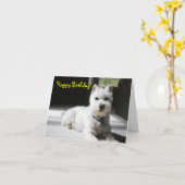 ハッピーバースデー、ブランク、小型シュナウツァー カード (黄色い花)