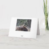 ハッピーバースデー、ブルエルクブリング カード (裏面)