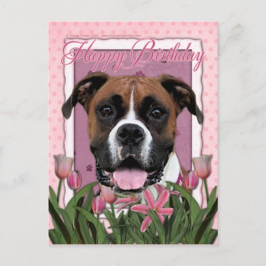 ハッピーバースデー – ボクサー – ビンディ ポストカード (正面)