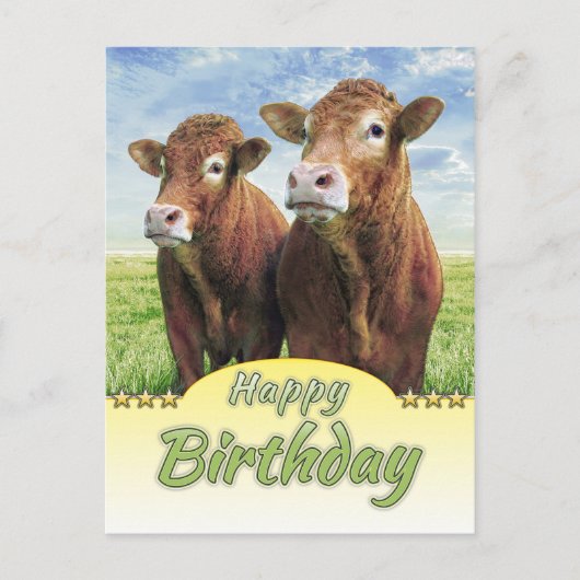 ハッピーバースデー ポストカード (正面)