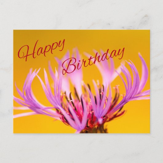 ハッピーバースデー! ポストカード (正面)