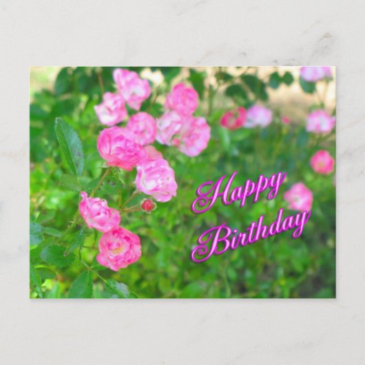 ハッピーバースデー ポストカード (正面)