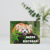 ハッピーバースデー ポストカード (スタンド正面)