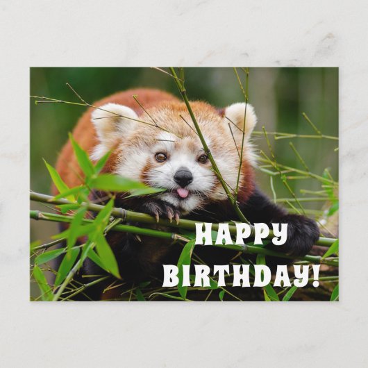 ハッピーバースデー ポストカード (正面)