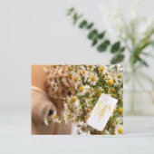 ハッピーバースデー ポストカード (スタンド正面)