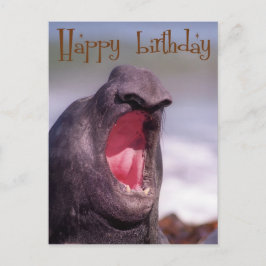 ハッピーバースデー ポストカード