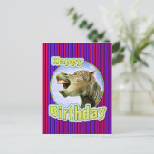 ハッピーバースデー ポストカード (スタンド正面)