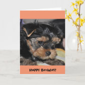 ハッピーバースデー!ヨークシャーテリアグリーティングカード カード (黄色い花)