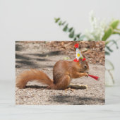 ハッピーバースデー リス 招待状 (スタンド正面)