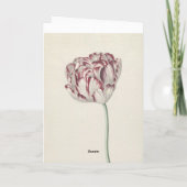 ハッピーバースデー-ヴィンテージ赤と白チューリップ カード (裏面)