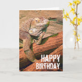 ハッピーバースデー-不精なラウンジトカゲChillaxing カード (黄色い花)