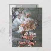 ハッピーバースデー!（冬の花）葉書 ポストカード (正面/裏面)