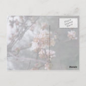 ハッピーバースデー!（冬の花）葉書 ポストカード (裏面)