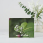 ハッピーバースデー、夏の野生のラズベリーの花芽 ポストカード (スタンド正面)