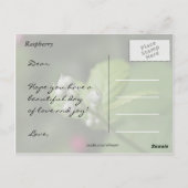 ハッピーバースデー、夏の野生のラズベリーの花芽 ポストカード (裏面)
