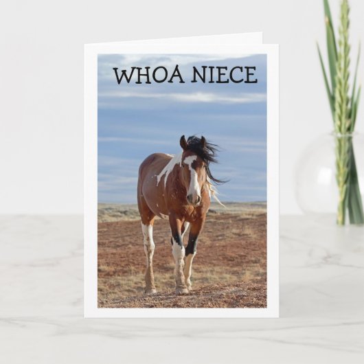 ハッピーバースデー「姪」カード カード (正面)