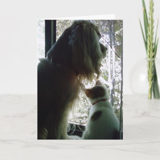 ハッピーバースデー***娘*** カード (正面)