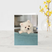 ハッピーバースデー/愛らしいクリッターが一つ カード (黄色い花)