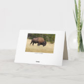 ハッピーバースデー、挨りだらけのバイソンBull カード (裏面)