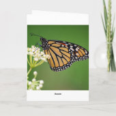 ハッピーバースデー（昆虫）オオカバマダラ、モナークバタフライオンスワンプミルク カード (裏面)